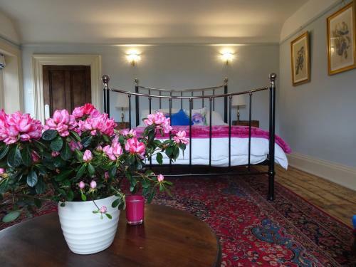Bed & Breakfast Redlynch Lodge