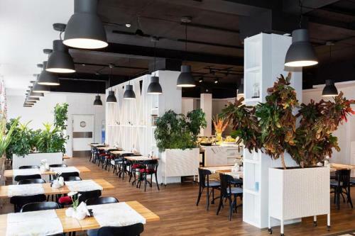 Apartament Bielik