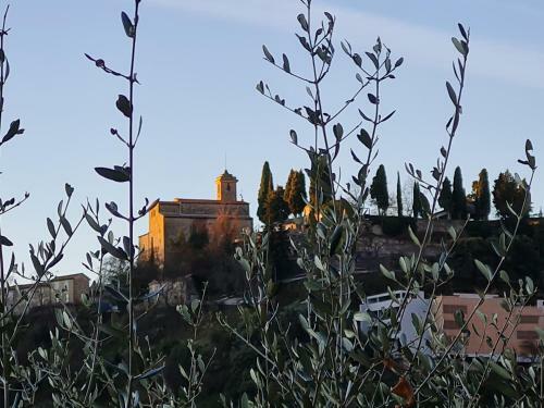 Bed & Breakfast Chambres D'h�tes Des Oliviers