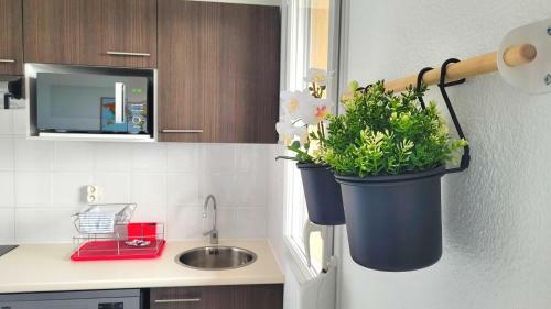 Apartamento Le Beluga ? Appartement Proche Airbus