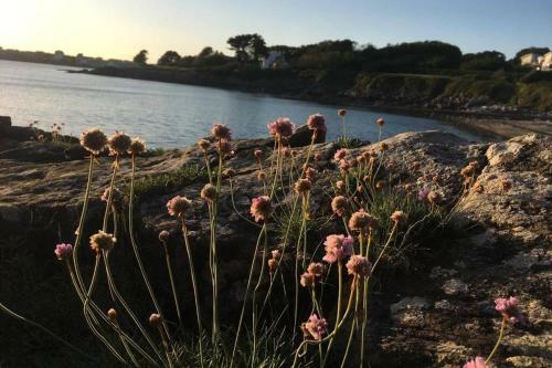 L'olivier Du Cabellou, � 900 M Des Plages