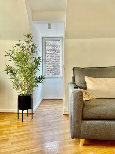 Apartamento Bonjour Colmar