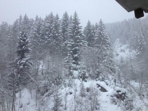 Apartamento La Tania Courchevel 73120