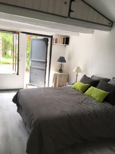 Logement Des Lavandes Animaux Bienvenus