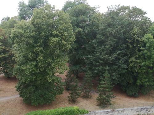 Apartamento Myappart - R�nov� - Balcon - Parking