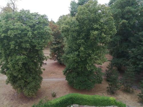 Apartamento Myappart - R�nov� - Balcon - Parking