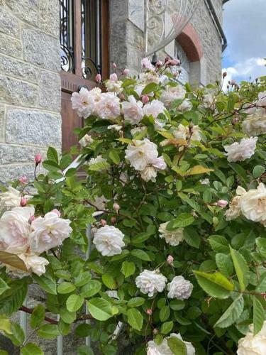 Les Roses By Locntour