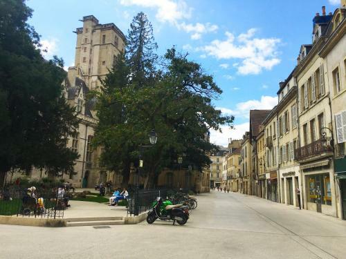 Apartamentos Le Lion Des Ducs : Centre Historique de Dijon