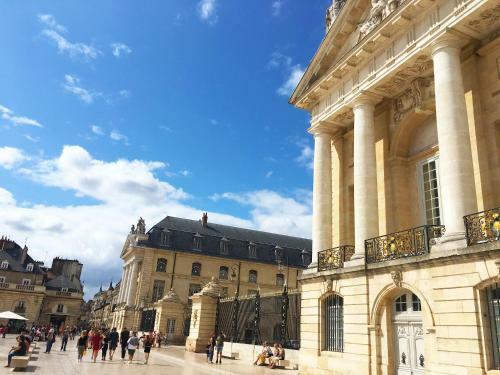 Apartamentos Le Lion Des Ducs : Centre Historique de Dijon