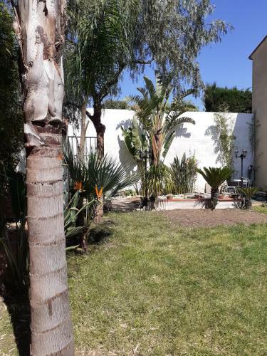 Bed & Breakfast Chambre El Padre Y El Hijo