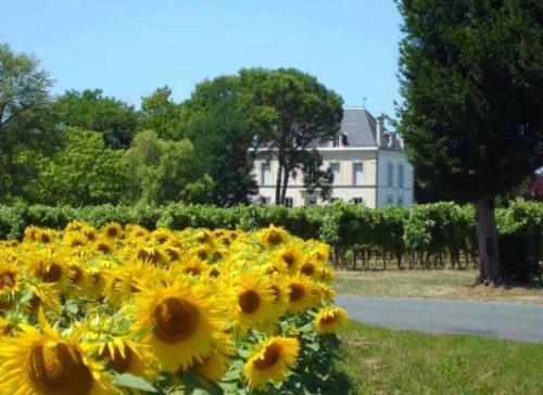 Le Logis D'epargnes B&B And Gite