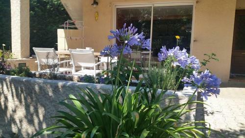 Au Paradis Des Grillons