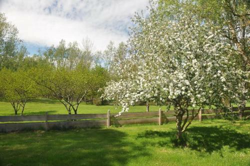 Cottage "le Pre Calas" | Etang, Parc Enfant Et Spa