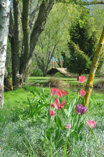 Cottage "le Pre Calas" | Etang, Parc Enfant Et Spa