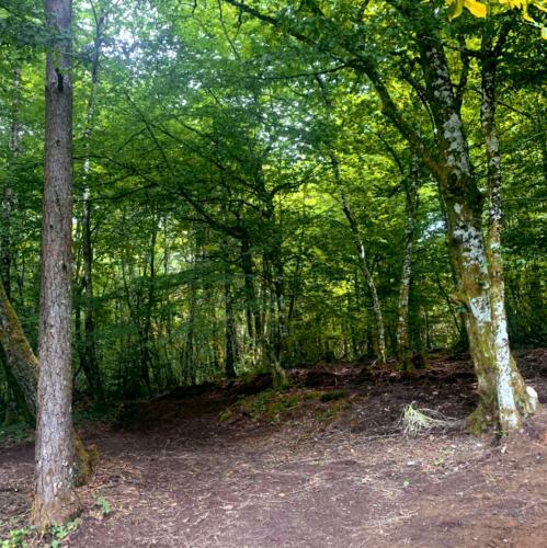 2 G�tes - 5 � 20 Pers - Domaine Des Loubi�res