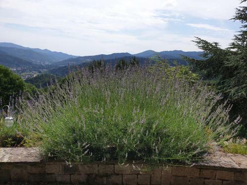Apartamento The View Fellering