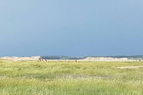 Apartamento La Cabane Des Dunes � Fort-mahon Plage