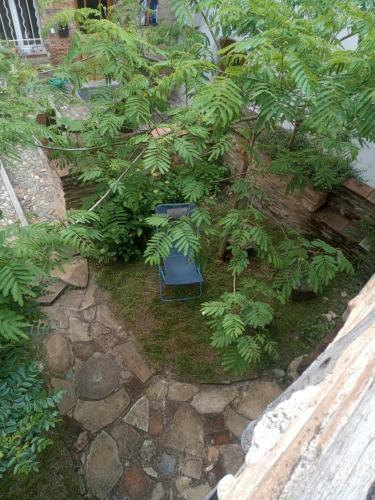 Bed & Breakfast La Lauze Et L'anguille