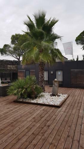 Regency Holiday Camping 5 �toiles Frejus, Cote D'azur