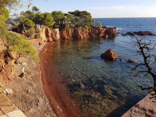 Bed & Breakfast Chambre D H�tes de La Louve