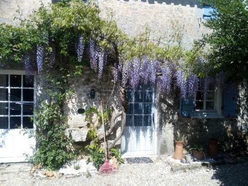 Bed & Breakfast Chat Noir Gite Et Chambre D'hotes