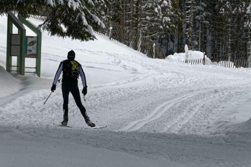 Chalet Les Cam�lias