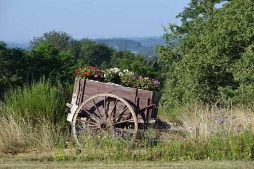 Pipowagen ( La Petite Gitane )