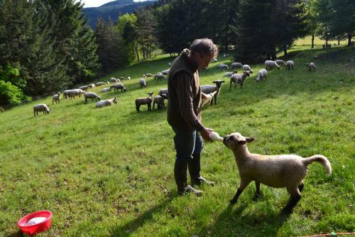 Agroturismo Ferme Auberge Briassou