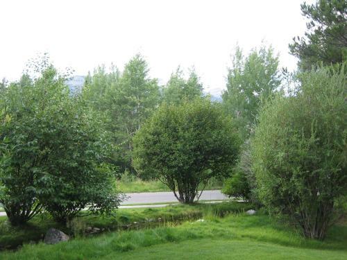 Hotel Teton Pines By Jackson Hole Resort Lodging