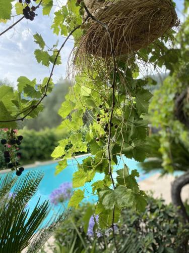 Bastide A�na Spa Et Piscine
