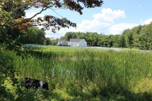 Apartamento Private Farmhouse Suite, Lake View Fields + Woods