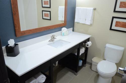 Hotel Comfort Suites Houston Northwest Cy-fair