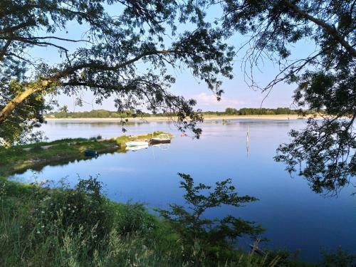 Les Soleils De La Loire