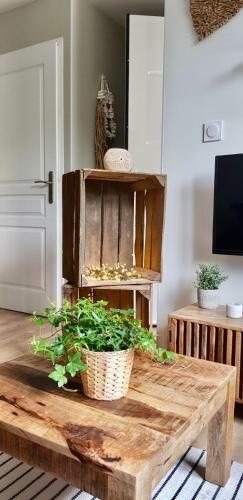Apartamento Casa Tulum