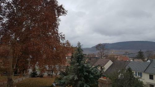 Apartamento Villa Spetz
