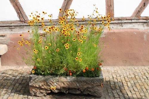 Bed & Breakfast La Chambre Aux Hirondelles