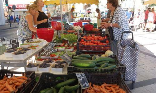 Apartamento Dans Un �crin De Verdure