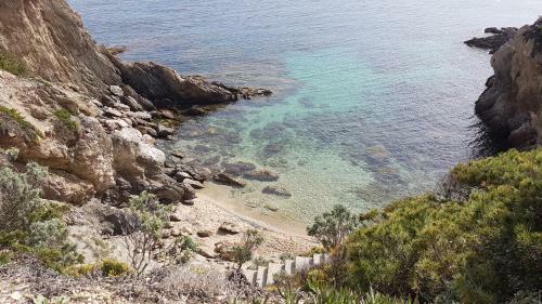 Apartamento Ecrins De La Badine- Pin�de