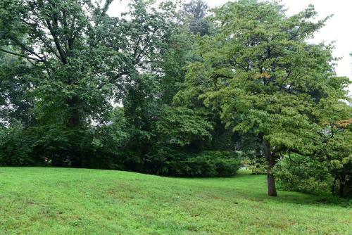 Beacons Great Getaway Near Hike, Parks, Shops And Art