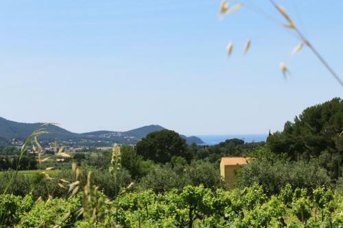 Apartamento Le Refuge De La Cadi�re D'azur