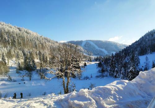 Apartamento La Bresse - Appartement de Charme 3*