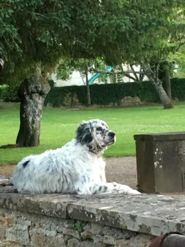 Hostal Ch�teau de Beauchamp- La Chapelle de Guinchay