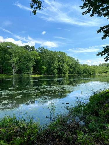 Tentrr Signature Site - Lower Pond Tent