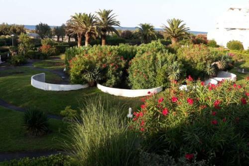 Apartamento Le Cocon De Flo, Studio Face � La Mer Au Couchant