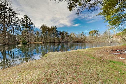 Pond Paradise