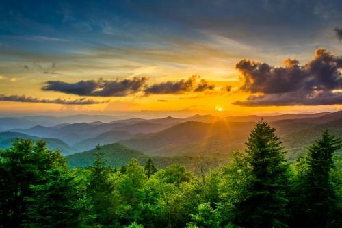 Wooded Retreat