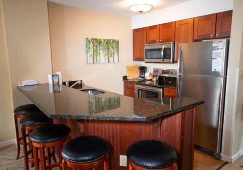 Aparthotel Mountain Lodge At Okemo