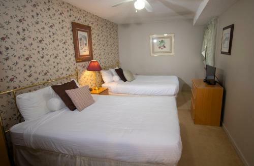 Aparthotel Mountain Lodge At Okemo