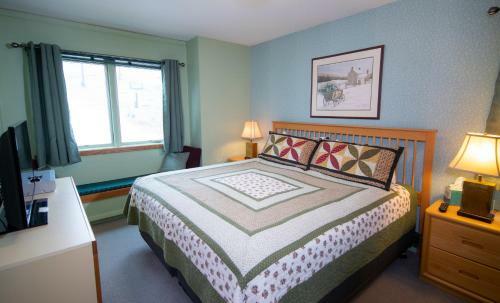 Aparthotel Mountain Lodge At Okemo