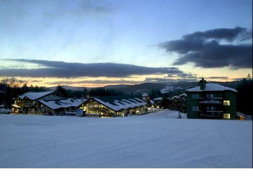 Aparthotel Mountain Lodge At Okemo